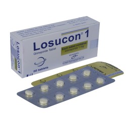 Losucon 1