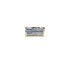 Ecoren T 10 gm Cream