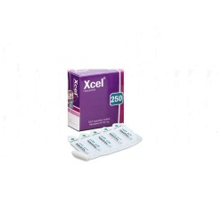 Xcel 250 supp