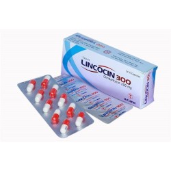 Lincocin-300 mg cap