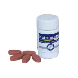Nutrum Bone Tablet 30's pack
