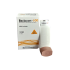 Beclocort (HFA) 100 mcg/puff Inhaler