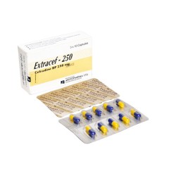 Extracef 250 Capsule