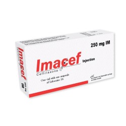 Imacef IM 250 mg