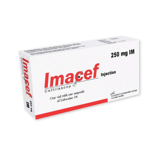 Imacef IV 250 mg