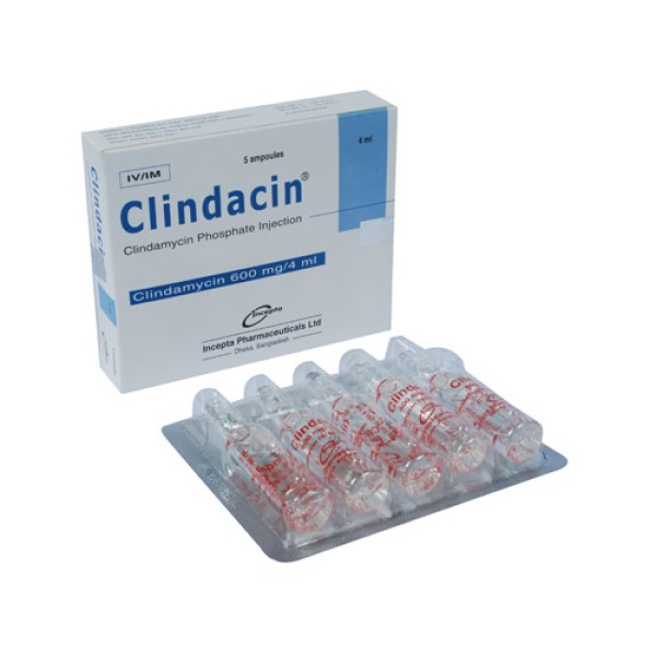 Clindacin 600 mg/4ml inj