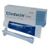Clindacin Cream 20 g