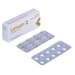 Lamogin 2 Chewable Dispersible Tablet