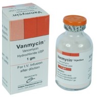Vanmycin 1g IV INJ