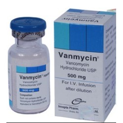 Vanmycin 500mg IV INJ