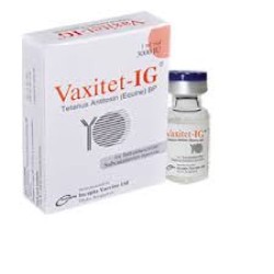 Vaxitet -IG  3000 IU 1 ml IM Injection