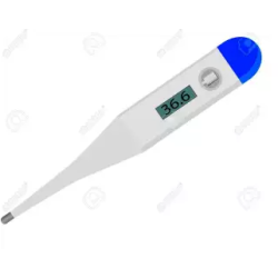 Digital Thermometer