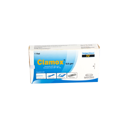 Clamox 500 mg Injection