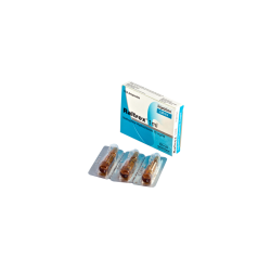 Raltrox 10 Injection