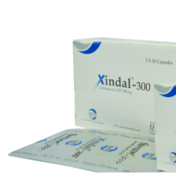 Xindal 300