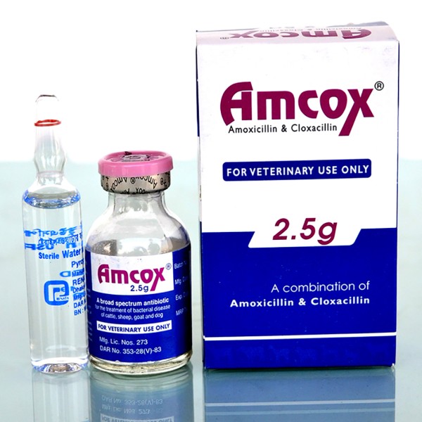 Amcox IM/IV