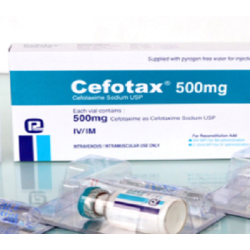 Cefotax 500mg IM/IV Injection (Cefotaxime)