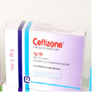 Ceftizone 1 gm IM Ceftizone 1 gm IM