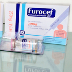 Furocef 250 mg IV/IM