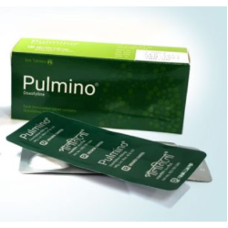 Pulmino 400 mg Tablet