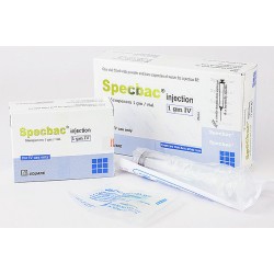 SPECBAC I.V 1gm Inj.