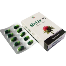 Silybin Capsule 140 mg