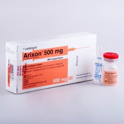 Arixon 500 mg/vial Arixon 500 mg/vial
