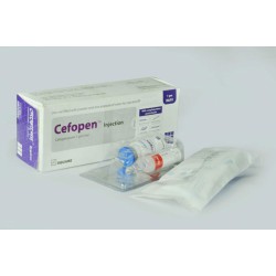 Cefopen inj 1 gm/vial