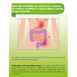 Karkuma Organic Healthy Gut Karkuma Organic Healthy Gut